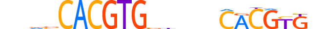 MAX.H13CORE.2.S.C motif logo (MAX gene, MAX_HUMAN protein)