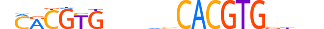 MAX.H13CORE.2.S.C reverse-complement motif logo (MAX gene, MAX_HUMAN protein)