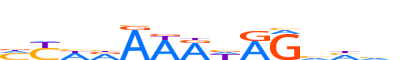 MEF2B.H13CORE.0.PS.A reverse-complement motif logo (MEF2B gene, MEF2B_HUMAN protein)