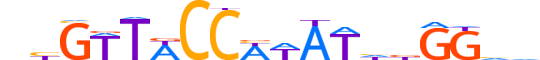 MEF2B.H13CORE.1.SM.B motif logo (MEF2B gene, MEF2B_HUMAN protein)