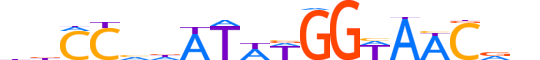 MEF2B.H13CORE.1.SM.B reverse-complement motif logo (MEF2B gene, MEF2B_HUMAN protein)