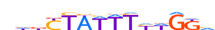 MEF2C.H13CORE.0.P.B motif logo (MEF2C gene, MEF2C_HUMAN protein)