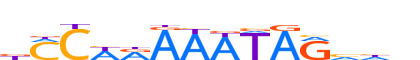 MEF2C.H13CORE.0.P.B reverse-complement motif logo (MEF2C gene, MEF2C_HUMAN protein)