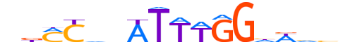 MEF2C.H13CORE.1.SM.B motif logo (MEF2C gene, MEF2C_HUMAN protein)