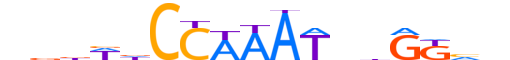 MEF2C.H13CORE.1.SM.B reverse-complement motif logo (MEF2C gene, MEF2C_HUMAN protein)