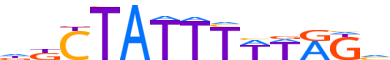 MEF2D.H13CORE.0.PS.A motif logo (MEF2D gene, MEF2D_HUMAN protein)