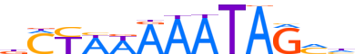 MEF2D.H13CORE.0.PS.A reverse-complement motif logo (MEF2D gene, MEF2D_HUMAN protein)