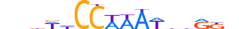 MEF2D.H13CORE.1.M.C reverse-complement motif logo (MEF2D gene, MEF2D_HUMAN protein)