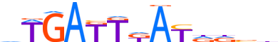 MEIS1.H13CORE.0.P.B motif logo (MEIS1 gene, MEIS1_HUMAN protein)