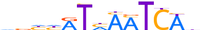 MEIS1.H13CORE.0.P.B reverse-complement motif logo (MEIS1 gene, MEIS1_HUMAN protein)