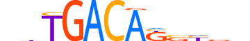 MEIS2.H13CORE.1.PSM.A motif logo (MEIS2 gene, MEIS2_HUMAN protein)