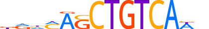 MEIS2.H13CORE.2.SM.B reverse-complement motif logo (MEIS2 gene, MEIS2_HUMAN protein)