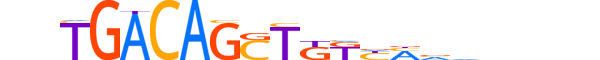 MEIS3.H13CORE.1.S.B motif logo (MEIS3 gene, MEIS3_HUMAN protein)