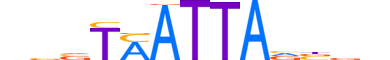 MEOX1.H13CORE.0.SM.B reverse-complement motif logo (MEOX1 gene, MEOX1_HUMAN protein)