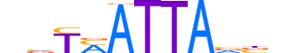 MEOX2.H13CORE.0.SM.B reverse-complement motif logo (MEOX2 gene, MEOX2_HUMAN protein)