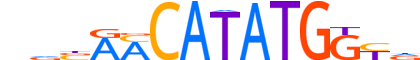 MESP2.H13CORE.0.S.C motif logo (MESP2 gene, MESP2_HUMAN protein)