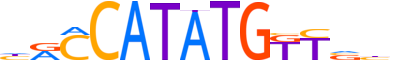 MESP2.H13CORE.0.S.C reverse-complement motif logo (MESP2 gene, MESP2_HUMAN protein)