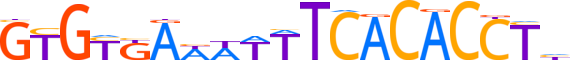 MGA.H13CORE.0.PSG.A reverse-complement motif logo (MGA gene, MGAP_HUMAN protein)