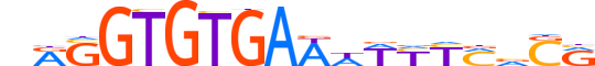 MGAP.H13CORE.1.S.B motif logo (MGA gene, MGAP_HUMAN protein)