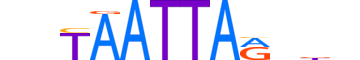 MIXL1.H13CORE.1.S.B motif logo (MIXL1 gene, MIXL1_HUMAN protein)