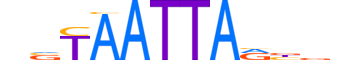 MNX1.H13CORE.0.SM.B reverse-complement motif logo (MNX1 gene, MNX1_HUMAN protein)