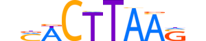 MSANTD1.H13CORE.0.PSGIB.A reverse-complement motif logo (MSANTD1 gene, MSD1_HUMAN protein)