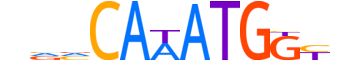 MSGN1.H13CORE.0.PSM.A motif logo (MSGN1 gene, MSGN1_HUMAN protein)