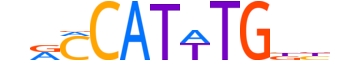 MSGN1.H13CORE.0.PSM.A reverse-complement motif logo (MSGN1 gene, MSGN1_HUMAN protein)