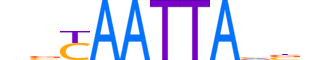 MSX1.H13CORE.0.SM.B motif logo (MSX1 gene, MSX1_HUMAN protein)