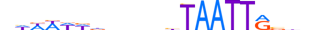 MSX1.H13CORE.1.S.C reverse-complement motif logo (MSX1 gene, MSX1_HUMAN protein)