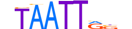 MSX2.H13CORE.0.SM.B reverse-complement motif logo (MSX2 gene, MSX2_HUMAN protein)