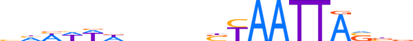 MSX2.H13CORE.1.SM.B motif logo (MSX2 gene, MSX2_HUMAN protein)