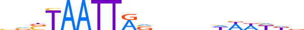 MSX2.H13CORE.1.SM.B reverse-complement motif logo (MSX2 gene, MSX2_HUMAN protein)