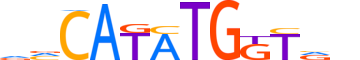 MUSC.H13CORE.0.SM.B motif logo (MSC gene, MUSC_HUMAN protein)