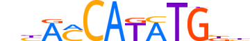 MUSC.H13CORE.0.SM.B reverse-complement motif logo (MSC gene, MUSC_HUMAN protein)