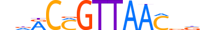 MYBA.H13CORE.2.S.B motif logo (MYBL1 gene, MYBA_HUMAN protein)