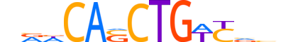 MYF6.H13CORE.0.SM.B motif logo (MYF6 gene, MYF6_HUMAN protein)