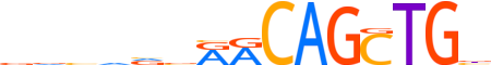 MYOD1.H13CORE.0.P.B reverse-complement motif logo (MYOD1 gene, MYOD1_HUMAN protein)