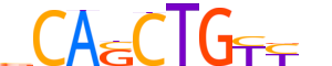 MYOD1.H13CORE.1.PSM.A motif logo (MYOD1 gene, MYOD1_HUMAN protein)