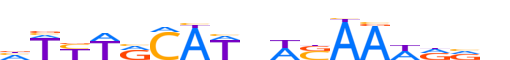 NANOG.H13CORE.0.P.B reverse-complement motif logo (NANOG gene, NANOG_HUMAN protein)