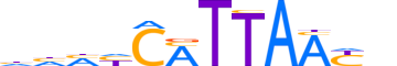 NANOG.H13CORE.2.M.C reverse-complement motif logo (NANOG gene, NANOG_HUMAN protein)