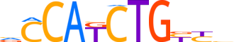 NDF1.H13CORE.0.P.B reverse-complement motif logo (NEUROD1 gene, NDF1_HUMAN protein)