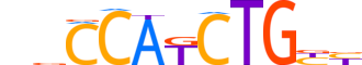 NDF2.H13CORE.0.P.B reverse-complement motif logo (NEUROD2 gene, NDF2_HUMAN protein)