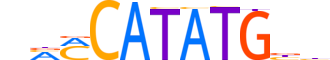 NDF2.H13CORE.1.S.B reverse-complement motif logo (NEUROD2 gene, NDF2_HUMAN protein)