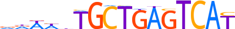 NF2L1.H13CORE.0.P.B motif logo (NFE2L1 gene, NF2L1_HUMAN protein)