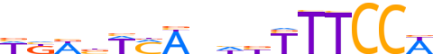 NFAC1.H13CORE.0.P.B reverse-complement motif logo (NFATC1 gene, NFAC1_HUMAN protein)