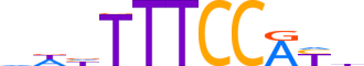 NFAC1.H13CORE.1.PS.A reverse-complement motif logo (NFATC1 gene, NFAC1_HUMAN protein)