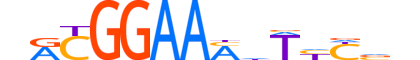 NFAC1.H13CORE.3.SM.B motif logo (NFATC1 gene, NFAC1_HUMAN protein)