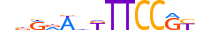 NFAC1.H13CORE.3.SM.B reverse-complement motif logo (NFATC1 gene, NFAC1_HUMAN protein)