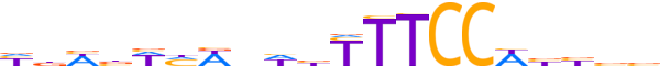 NFAC2.H13CORE.0.P.B reverse-complement motif logo (NFATC2 gene, NFAC2_HUMAN protein)